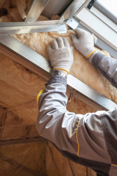 Best Crawl Space Insulation  in St Marys, WV