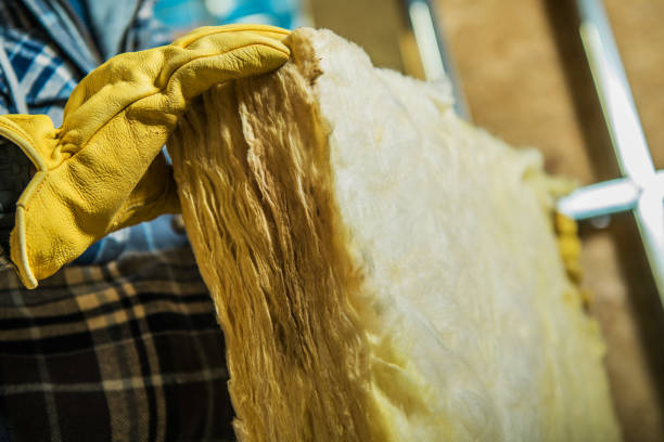Best Insulation Contractors for Homes  in St Marys, WV