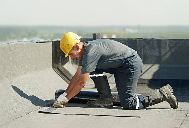 Best Residential Insulation Services  in St Marys, WV