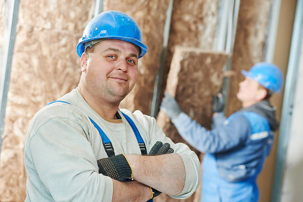Best Professional Insulation Contractor  in St Marys, WV