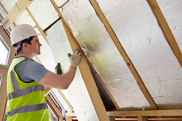 Best Insulation Repair Services  in St Marys, WV