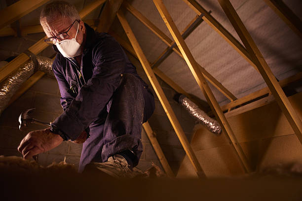 Best Wall Insulation Contractor  in St Marys, WV