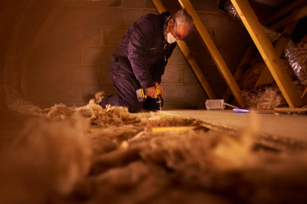 Best Attic Insulation Installation  in St Marys, WV