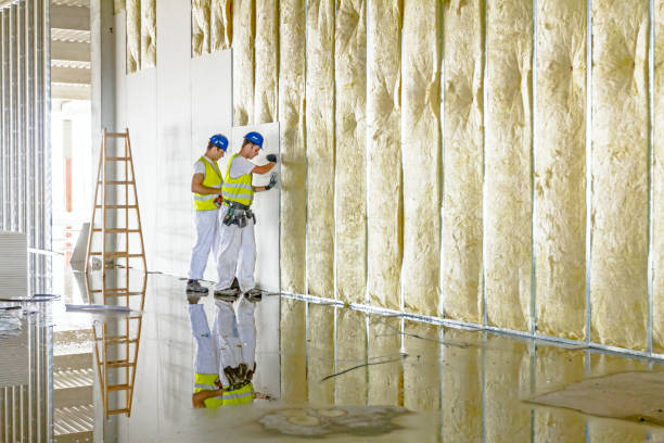 Best Best Insulation Companies  in St Marys, WV